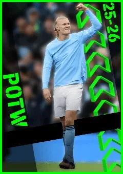 Erling Haaland