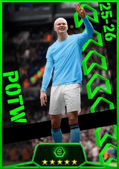 Erling Haaland