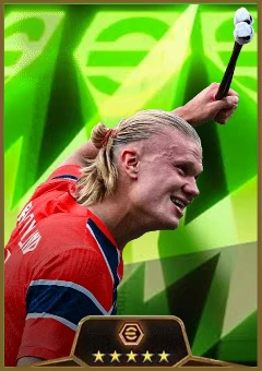 Erling Haaland